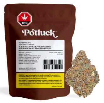 Potluck - POTLUCK - Beaver Tail 7g Dried Flower Main Image