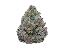 MODIFIED GRAPES - 28