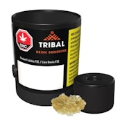 Tribal - Neon Sunshine Live Resin (1g)