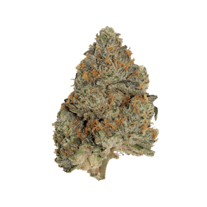 Pistol and Paris - Blue Zushi 3.5g