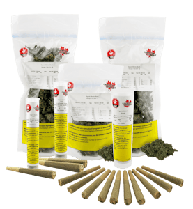 Canadian Cannabis - Organic Mango Hashplant 10 x 0.5g Pre-Rolls by Canadian Cannabis