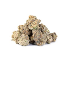 TENZO - BIG SMALLZ ESPRESSO CNDY LTO - 14 GRAMS