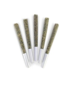 DEALR - HONEY NECTAR - 5 X 0.5 GRAMS