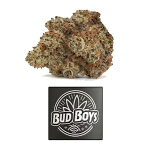 WOWKPOW CULTIVATION - BLUEBERRY PANCAKES 3.5G