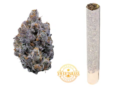 BLACK PATRONUS ORGANIC | 1 x 1g