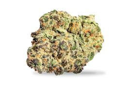 BLACK CHERRY PIE - 14