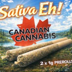 Canadian Cannabis - Sativa Eh! 2 x 1g Pre-Rolls - Canadian Cannabis