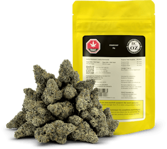 BC OZ - POWER NAP - 28