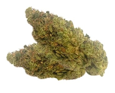 Rogworld - ROGWORLD | CADILLAC RAINBOW 14g