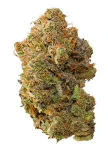 Pineapple Buds - PINEAPPLE BUDS PINEAPPLE SODA - 7