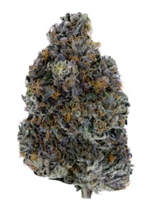 Woody Nelson - WOODY NELSON | DARK RAINBOW 3.5g