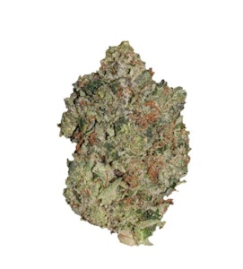 Pistol and Paris - Pistol and Paris | Lindsay OG | 7g