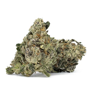 North 40 - Frequent Flyer (7g) - North 40