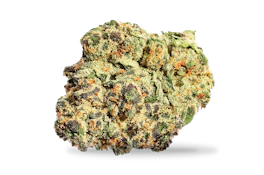 BLACK CHERRY PIE - 14