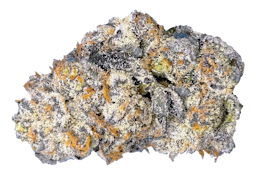 Triangle Octane 14g Dried Flower by Castle Rock Farms