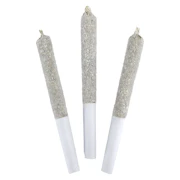 DEALR Infused | Raspberry Lime Paloma Infused Pre-Roll | 3x0.5g