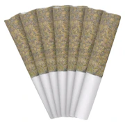 Florida Oranges Pre-Roll 7x0.5g Pre-Rolls