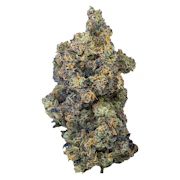 Lime Rntz | 3.5g | PURPLEFARM