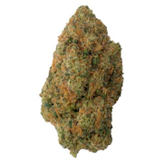 Reptilian Reserve | 7g | Conspiracy