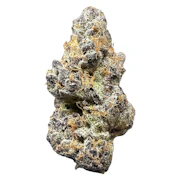 Space Bros | Tropic Fuel | 7g