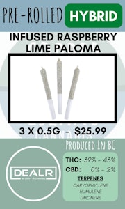 DEALR Infused - DEALR - 3PK RASPBERRY LIME PALOMA INFUSED PRS