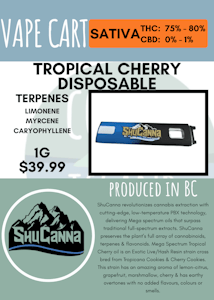 Shucanna - SHUCANNA - TROPICAL CHERRY DISPOSABLE