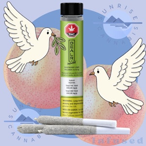 DEALR - RASPBERRY LIME PALOMA INFUSED - DEALR - 3X0.5G