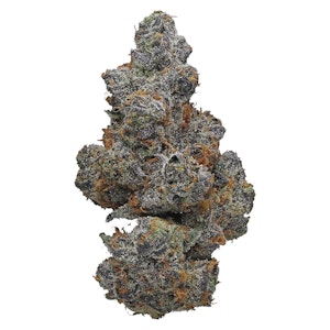 Potluck   [SENSI BRANDS INC]   - Potluck Apple Fritter 7g Dried Flower