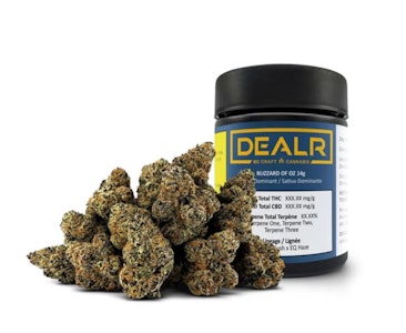DEALR - BLIZZARD OF OZ LTO - 14g