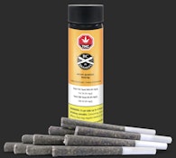 NIGHT SCHOOL 0.5G 10 PRE-ROLLS (KUSH MINTS x DO-SI-DOS)