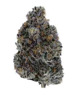 Woody Nelson - Dark Rainbow - 3.5g