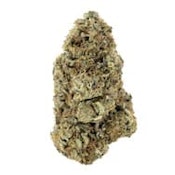 RAINBOW DRIVER CRAFT