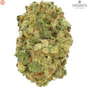 5 Points Cannabis | Zsweet Craft Flower | 3.5g
