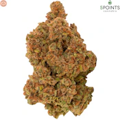 5 Points Cannabis | Permanent Marker Craft Flower | 7g