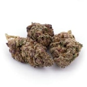 Grand Daddy Purps 7g Dried Flower By Good Supply