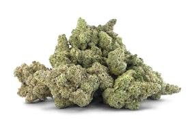 HOLIDAY WEIGHT LTO - 28g