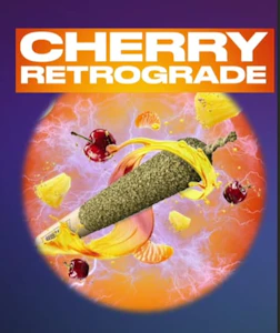 General Admission - Cherry Retrograde 3 x 0.5g Infused Pre-Rolls