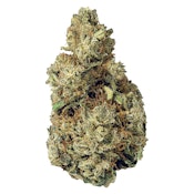 Terp Town Collective - Resting Gas Face 3.5g Dried Flower