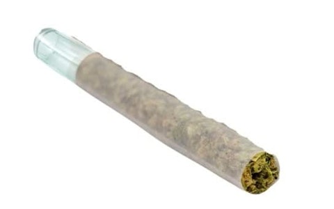Puffer's Paradise - Magik Dragon Glass Tip  1 x 0.5g Pre-Rolls