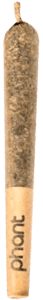 Phant - PHANT 55 - Yosemite Sasparilla Diamond Infused Pre-Roll 1x0.5g | 0.5g