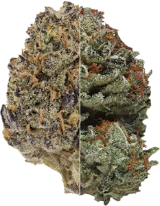 Rosin Heads - Rosin Heads  - Peanut Butter & Jelly (Gumi & Strawberry Guava)  2x7g | 14g