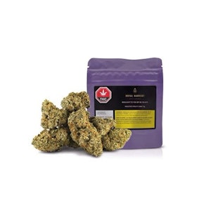 Royal Harvest Craft Cannabis - Royal Harvest | FROSTED FRUIT CAKE | 14g