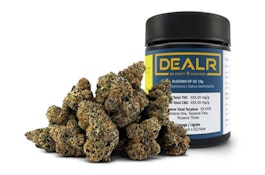 Dealr Blizzard of Oz LTO 14g