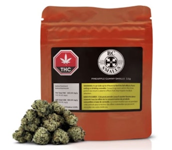 BC Smalls - PINEAPPLE GUMMY SMALLS - 3.5G