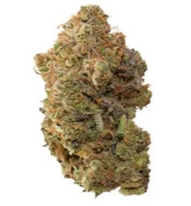 Pineapple Buds - PINEAPPLE SODA | Pineapple Buds 7g Flower | Elevate