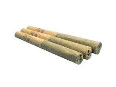 GLITTER BOMB | All Nations 3x0.5g Pre-rolls | Rest