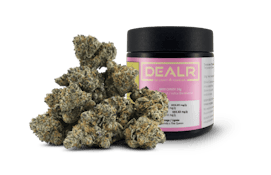DEALR | RASPBERRY ICE LTO | 28G