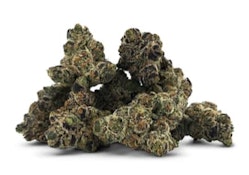 DEALR | PERMANENT-LEE HI - 7g