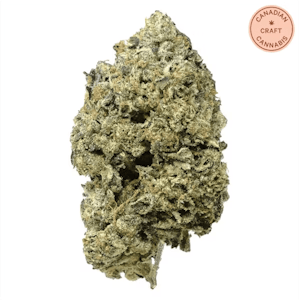 Pistol and Paris - Pink Goo 14g