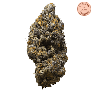 3rd Coast Genetics - Possum 7g